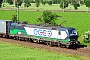 Siemens 21948 - ecco-rail "193 225"
07.06.2016 - Northeim
Peider Trippi