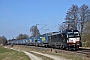 Siemens 21954 - TXL "X4 E - 603"
24.03.2021 - Hünfeld-Nüst
Patrick Rehn