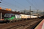 Siemens 21965 - RTB Cargo "193 230"
19.08.2016 - Kassel-Wilhelmshöhe
Christian Klotz