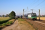 Siemens 21965 - RTB CARGO "193 230"
03.08.2018 - Nordstemmen
Sebastian Bollmann