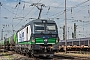 Siemens 21965 - RTB CARGO "193 230"
10.07.2019 - Oberhausen, Rangierbahnhof West
Rolf Alberts