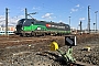 Siemens 21974 - SBB Cargo "193 201"
22.02.2016 - Regensburg, Hauptbahnhof
Paul Tabbert