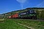 Siemens 21974 - SBB Cargo "193 201"
06.05.2016 - Thüngersheim
Holger Grunow