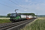 Siemens 21975 - ecco-rail "193 202"
07.06.2018 - Retzbach-Zellingen
Mario Lippert