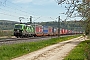 Siemens 21978 - TXL "193 234"
04.05.2023 - Treuchtlingen-Wettelsheim
Frank Weimer