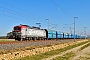 Siemens 21980 - PKP Cargo "EU46-503"
10.10.2021 - Horka 
Torsten Frahn