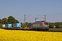 Siemens 21985 - PKP Cargo "EU46-506"
28.04.2026 - Meerbusch-Ossum-BösinghovenIngmar Weidig