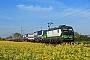 Siemens 21995 - ecco-rail "193 241"
26.04.2023 - Dieburg Ost
Kurt Sattig