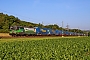 Siemens 22009 - GySEV "193 245"
12.06.2025 - Gemünden (Main)-Harrbach
Wolfgang Mauser