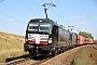 Siemens 22010 - DB Cargo "193 614-5"
01.09.2016 - Frankfurt (Oder)-Rosengarten
Heiko Mueller