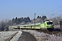 Siemens 22019 - ? "193 247"
02.01.2020 - Wildeck-Obersuhl
Thomas Leyh