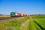 Siemens 22021 - SETG "193 248"
03.09.2021 - UffenheimKorbinian Eckert