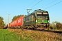 Siemens 22025 - RTB Cargo "193 249"
23.10.2024 - Altheim (Hessen)
Kurt Sattig
