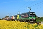 Siemens 22026 - ecco-rail "193 252"
03.05.2023 - Dieburg Ost
Kurt Sattig
