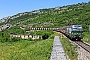 Siemens 22039 - SŽ "193 279"
01.06.2025 - Zanigrad
Tobias Schmidt