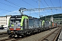 Siemens 22041 - BLS Cargo "402"
29.07.2017 - Sissach
Michael Krahenbuhl