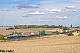 Siemens 22056 - ČD Cargo "383 004-9"
08.09.2018 - Ovelgünne
Alex Huber