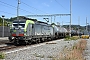 Siemens 22064 - BLS Cargo "403"
16.09.2019 - Gelterkinden
Michael Krahenbuhl