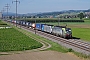 Siemens 22064 - BLS Cargo "403"
20.09.2019 - Wichtrach
Vincent Torterotot