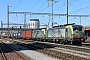 Siemens 22065 - BLS Cargo "404"
24.03.2018 - Pratteln
Theo Stolz