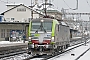 Siemens 22065 - BLS Cargo "404"
15.01.2017 - Liestal
Gareth McMurray