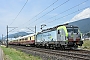 Siemens 22065 - Lokomotion "404"
21.07.2017 - Granges Sud
Michael Krahenbuhl