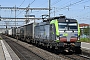 Siemens 22065 - BLS Cargo "404"
04.05.2023 - Pratteln
André Grouillet