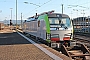 Siemens 22066 - BLS Cargo "405"
24.09.2016 - Basel, Badischer BahnhofTobias Schmidt