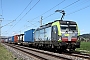 Siemens 22066 - BLS Cargo "405"
20.09.2023 - Kiesen
Theo  Stolz