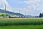 Siemens 22068 - BLS Cargo "407"
08.06.2018 - Sissach
Marcus Schrödter