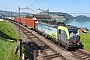 Siemens 22068 - BLS Cargo "407"
08.09.2021 - Arth
Peider Trippi