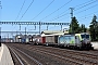 Siemens 22069 - BLS Cargo "408"
16.06.2021 - Rothrist
Theo Stolz