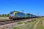 Siemens 22071 - BLS Cargo "410"
07.09.2023 - Wiesental
Wolfgang Mauser