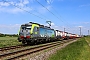 Siemens 22073 - BLS Cargo "412"
24.05.2023 - Bobenheim-Roxheim
Wolfgang Mauser