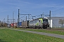 Siemens 22074 - BLS Cargo "413"
08.04.2018 - Groß Gerau
Marcus Schrödter