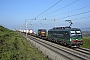 Siemens 22154 - SBB Cargo "193 258"
19.01.2019 - Muhlau
Michael Krahenbuhl