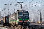 Siemens 22159 - SBB Cargo "193 260"
11.01.2022 - Oberhausen, Abzweig Mathilde
Rolf Alberts
