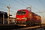 Siemens 22160 - DB Cargo "191 018"
15.02.2017 - Trecate
Giovanni Grasso