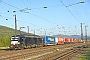 Siemens 22167 - boxXpress "X4 E - 643"
23.08.2023 - Gemünden (Main)
Thierry Leleu