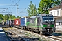 Siemens 22178 - TXL "193 275"
01.05.2025 - Aßling (Oberbayern)Mathias May