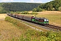 Siemens 22179 - TXL "193 274"
01.09.2022 - Karlstadt (Main)-Gambach
Wolfgang Mauser