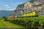 Siemens 22190 - TXL "193 553"
20.06.2023 - Mezzocorona
Riccardo Fogagnolo