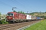 Siemens 22195 - TXL "193 555"
08.05.2018 - Himmelstadt
Jürgen Steinhoff