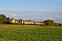 Siemens 22216 - TXL "193 556"
01.09.2017 - Thüngersheim
Marcus Schrödter