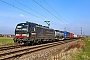 Siemens 22219 - SBB Cargo International "X4 E - 659"
28.02.2024 - Bobenheim-Roxheim
Wolfgang Mauser