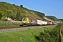 Siemens 22236 - TXL "193 557"
28.08.2017 - Karlstadt (Main)
Marcus Schrödter