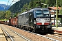 Siemens 22238 - Lokomotion "X4 E - 662"
26.08.2021 - Campo di Trens (Freienfeld)Kurt Sattig