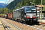 Siemens 22238 - Lokomotion "X4 E - 662"
26.08.2021 - Campo di Trens (Freienfeld)
Kurt Sattig