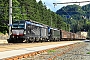 Siemens 22240 - Lokomotion "X4 E - 663"
08.07.2020 - Steinach in Tirol
Kurt Sattig