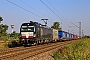 Siemens 22240 - Lokomotion "X4 E - 663"
18.09.2024 - Wiesental
Wolfgang Mauser